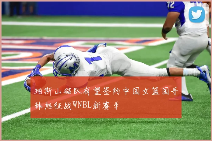 珀斯山猫队有望签约中国女篮国手韩旭征战WNBL新赛季