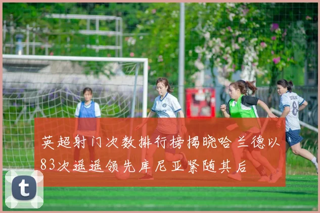 英超射门次数排行榜揭晓哈兰德以83次遥遥领先库尼亚紧随其后